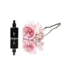 Load image into Gallery viewer, Imbibe V-Oil